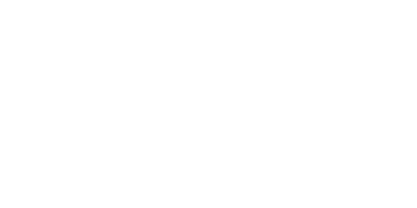네이버페이 logo